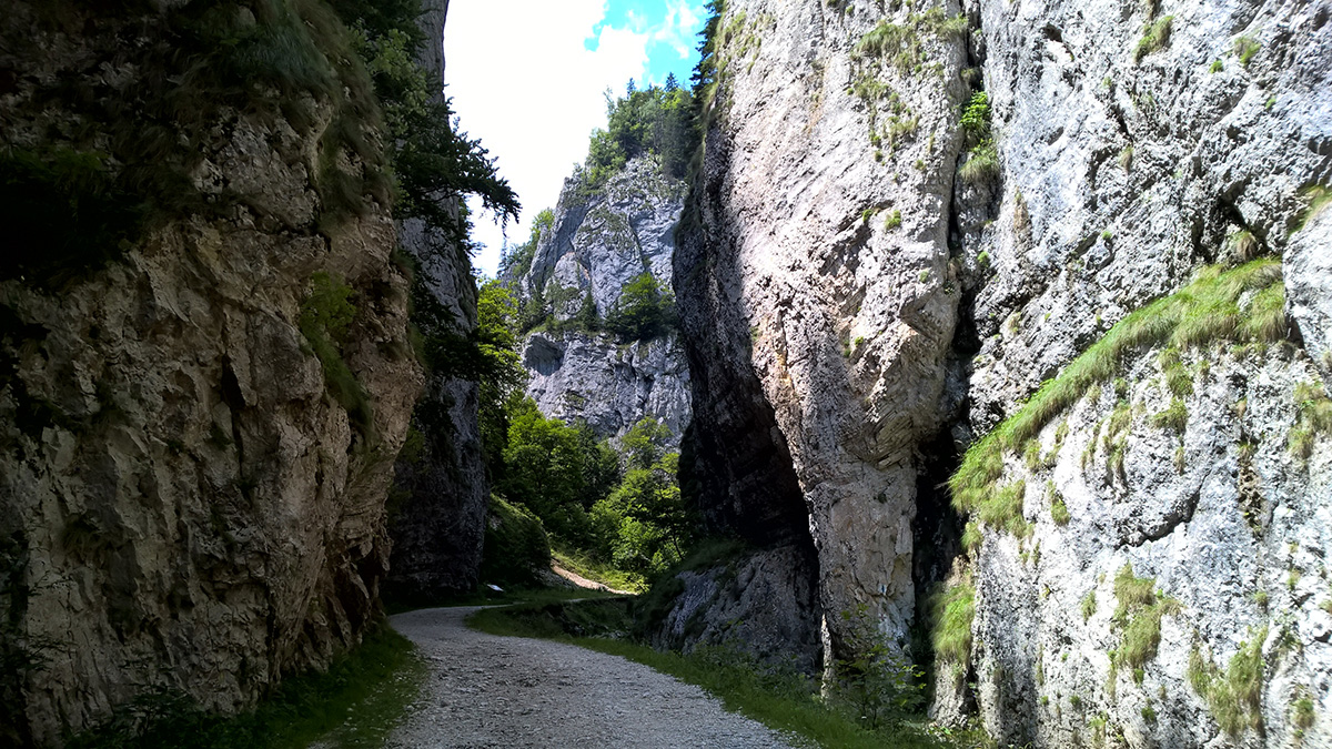 Hiking in Zarnesti Gorge